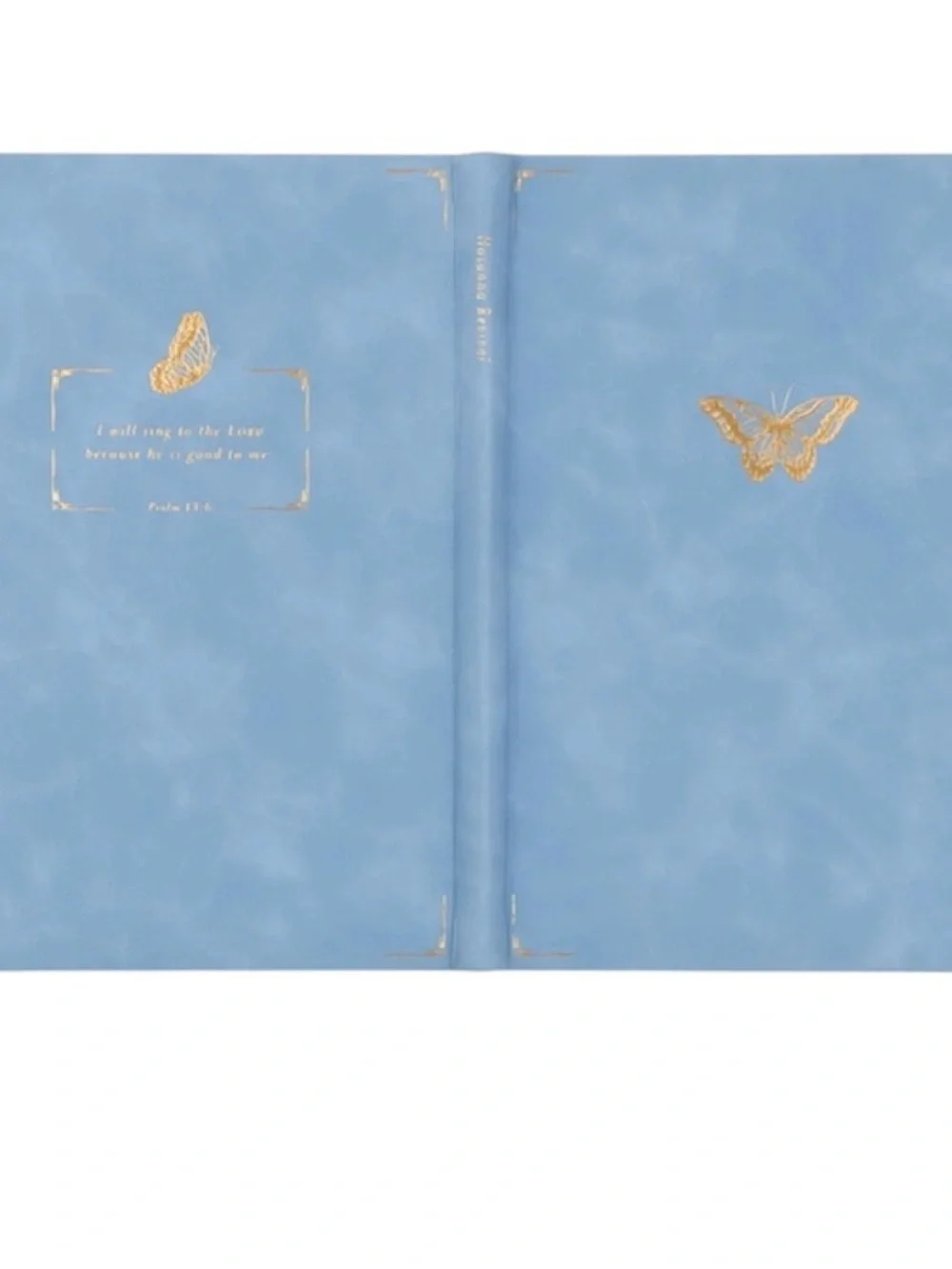 HOSANNA REVIVAL NOTEBOOK: BETHANY THEME